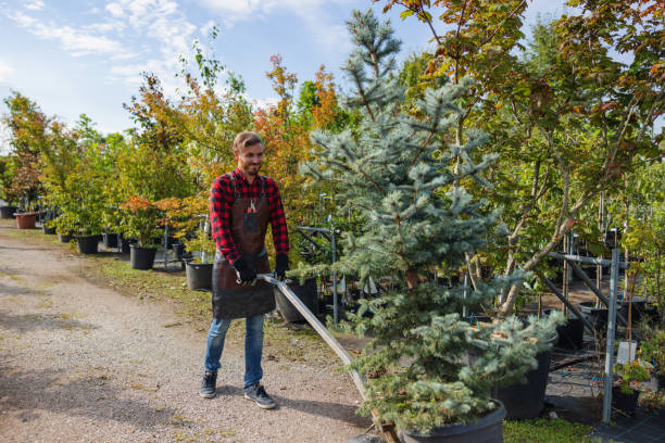 Best Organic Lawn Care Solutions  in Deerwood, TX
